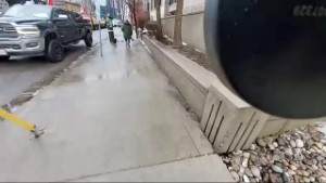 Stream thumbnail: Thu Feb 17, 5:56 AM EST