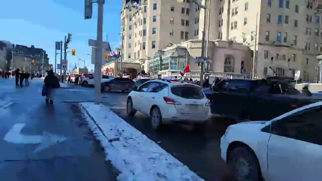 Stream thumbnail: Ottawalks — Jan 29